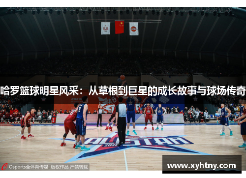哈罗篮球明星风采：从草根到巨星的成长故事与球场传奇