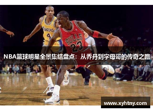 NBA篮球明星全景集结盘点：从乔丹到字母哥的传奇之路