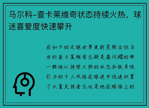 马尔科-查卡莱维奇状态持续火热，球迷喜爱度快速攀升